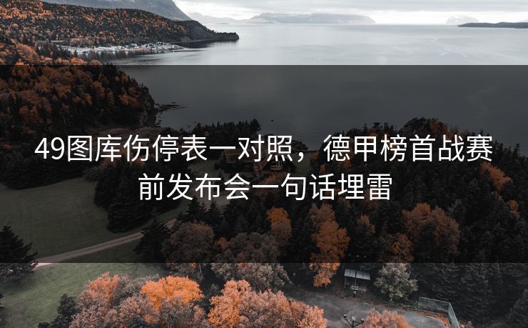 49图库伤停表一对照，德甲榜首战赛前发布会一句话埋雷