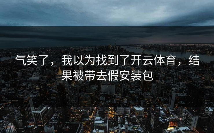 气笑了，我以为找到了开云体育，结果被带去假安装包